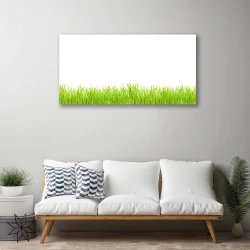 tulup.si Slika na platnu Grass nature rastlin 100x50 cm