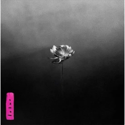Little Simz - Lotus (CD)