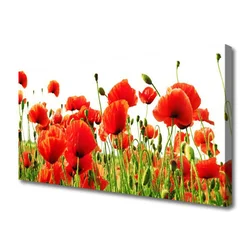 tulup.si Slika na platnu Rastlinskih mak naravi 100x50 cm