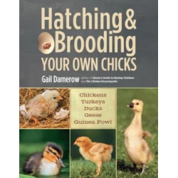 Hatching & Brooding Your Own Chicks