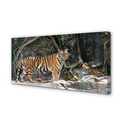 tulup.si Slika na platnu Tiger jungle 125x50 cm