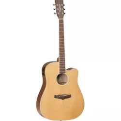Tanglewood TW10 Winterleaf elektro-akustična gitara