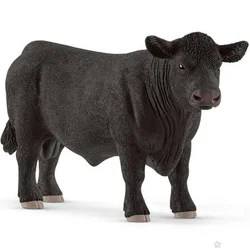 Crni Angus bik 13879