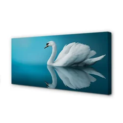 tulup.si Slika na platnu Swan v vodi 140x70 cm