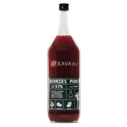 Berries Punch 1L