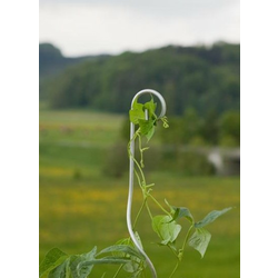WINDHAGER PRITKA ZA PARADAJZ SPIRALNA 150CM