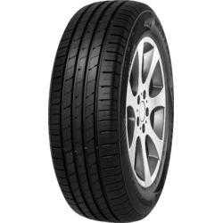 Minerva Ecospeed 2 SUV ( 225/65 R17 102V )