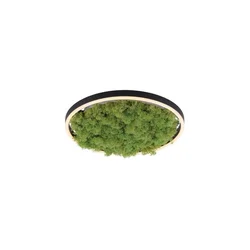 JUST LIGHT. 15391-66 - LED prigušiva stropna svetiljka GREEN RITU LED/20W/230V