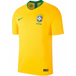 NIKE Majica CBF M NK VAPOR MTCH