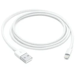 Apple Lightning to USB Cable (1m)