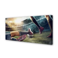 tulup.si Slika na platnu Čepi nogometni stadion 125x50 cm