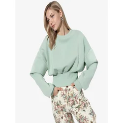 Busem Majica Sweatshirts pastelno zelena