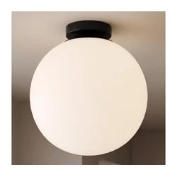 BRILAGI - Plafonsko svetlo POLOS 1xE27/40W/230V prečnik 30 cm crno