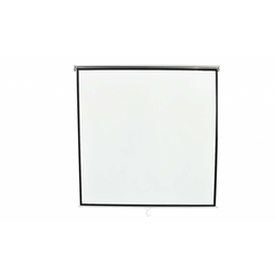 vidaXL Projekcijsko platno 160 x 123 cm, Stropno, Matirano bijelo, 4:3