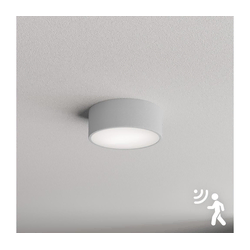 Brilagi - Plafonsko svetlo sa senzorom CLARE 1xE27/24W/230V pr. 20 cm sivo