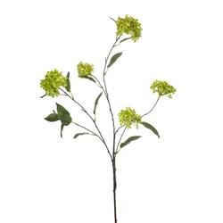 Viburnum veja zelena 113 cm - zelena - 101 do 150 cm