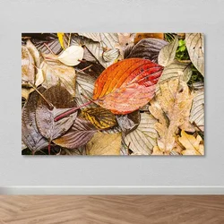 Slika Wallity DEV03359100140, 100x140 cm