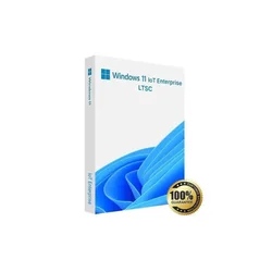 Microsoft Windows 11 IoT Enterprise LTSC Key GLOBAL