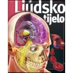 Upoznajmo - ljudsko tijelo