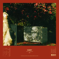 Casey - How To Disappear (Yellow Transparent Coloured) (LP)