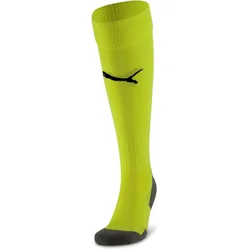 Puma Team LIGA Socks CORE