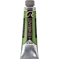 Rembrandt Oil Paint 40 ml Cinnabar Green Medium