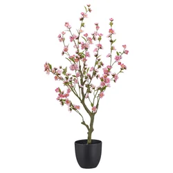 Grančica Cveta Trešnje Kirschblüte I