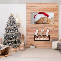 tulup.si Steklena slika Cat Cap Santa Claus 100x50 cm