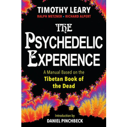 Psychedelic Experience