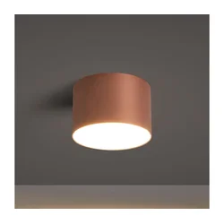 BRILAGI - Spoljašnje plafonsko svetlo FORIS LED/9W/230V prečnik 9 cm bronzano IP44
