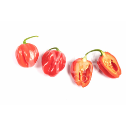 Red Savina Habanero – Sjemenke chili papričica