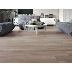 PC MODENA NATURAL 23x120
