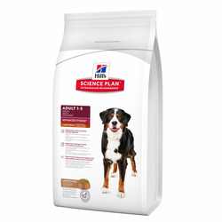 HILLS pasja hrana ADULT ADVANCED FITNESS LARGE BREED - 12 KG