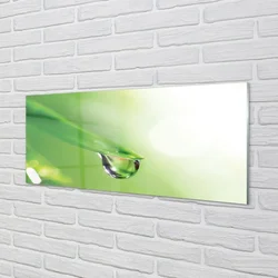 tulup.si Slika na steklu Drop listov sonce 140x70 cm 4 obešalnika