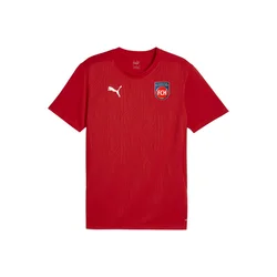 PUMA Funkcionalna majica modra/rdeča/bela