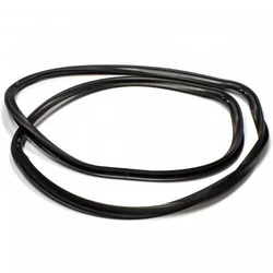 Dihtung rerne Ariston c00081579 308cu16 482000022703