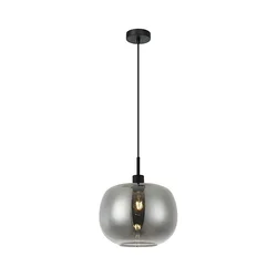 Luster na sajli ALAN 1xE27/40W/230V zadimljena crna