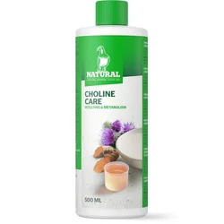 NATURAL CHOLINE CARE 500ML