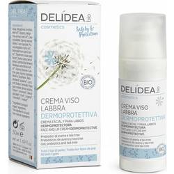 DELIDEA Safety & Protection dermoprotektivna krema za lice i usne - 50 ml