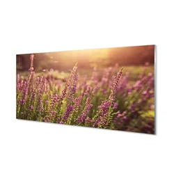 tulup.si Steklena slika Heather polje 125x50 cm 4 obešalnika