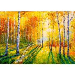 Enjoy - Puzzle Brezov gaj 1000 - 1 000 kosov