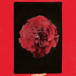 Activity - A Thousand Years In Another Way (LP)
