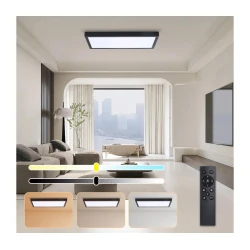 Brilagi - LED prigušiva svetiljka FRAME SMART LED/30W/230V crna IP44 + daljinski upravljač