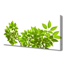 tulup.si Slika na platnu Branch listi narava rastlin 120x60 cm