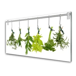 tulup.si Slika na steklu Listi narava zelišča 120x60 cm 2 obešalnika
