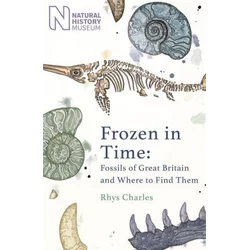 Frozen in Time