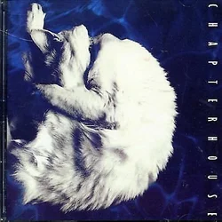 Chapterhouse - Whirlpool