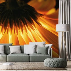 Fototapeta gerbera na temnem ozadju - 196x270