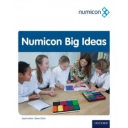 Numicon: Big Ideas