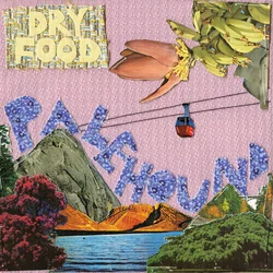 Palehound - Dry Food (Neon Green Coloured) (LP)